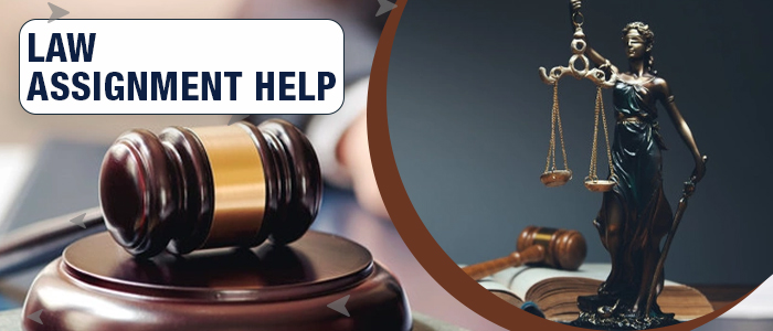 Do You Need Urgent Welfare Law Assignment Help?