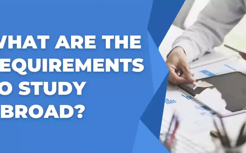 What are the Requirements to Study Abroad