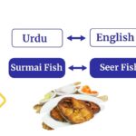 What is Surmai Fish Called In English
