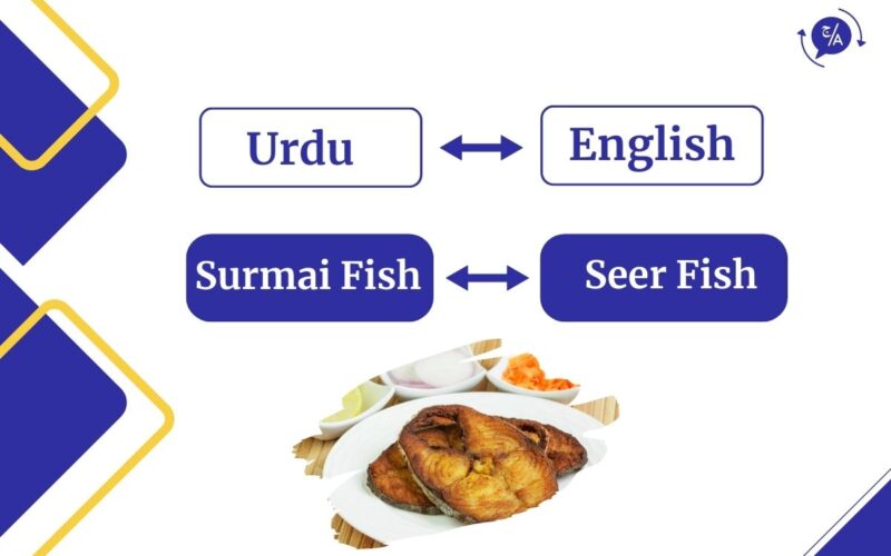 What Is Surmai Fish Called In English?