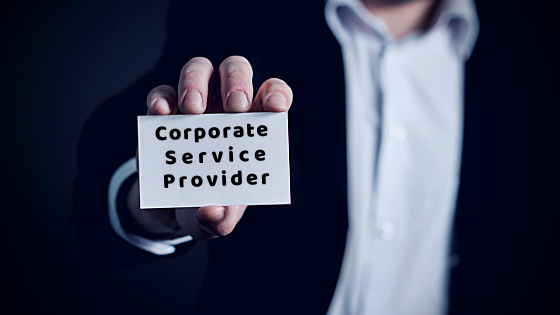 Navigating the Corporate Landscape: The Role of Corporate Services Providers